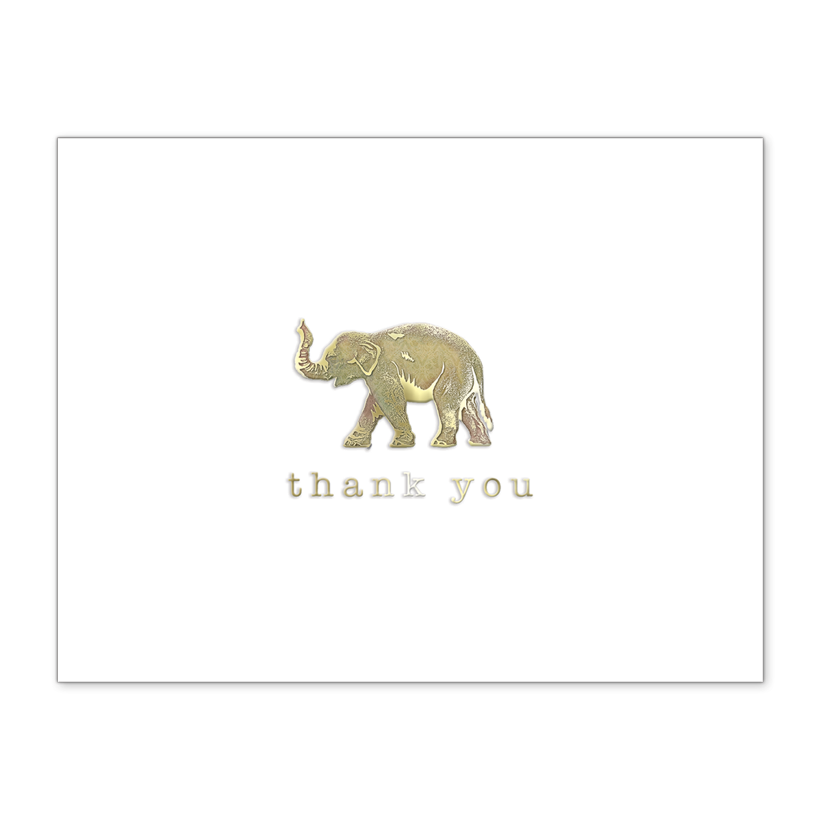 Details about   PUNCH STUDIO GOLD FOIL PEACOCK  THANK YOU NOTECARDS WITH ENVELOPES BOX OF 12 