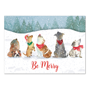 Holiday Snow Flurry Pets Boxed Holiday Cards Product