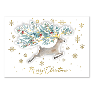 Winter Greens Deer Boxed Holiday Cards Product