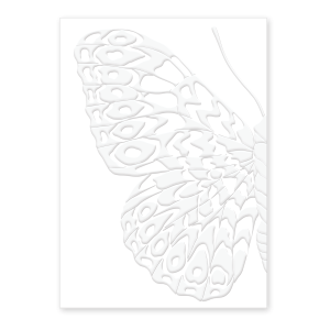 Embossed Butterfly Wing Greeting Card.