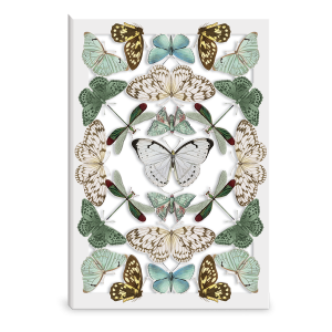 Butterfly Reflections Greeting Card Product