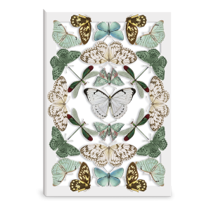 Shadow Box Butterfly Reflections Greeting Card