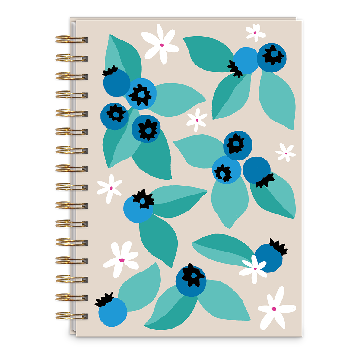 Fruit Market Blueberries Spiral Journal Product