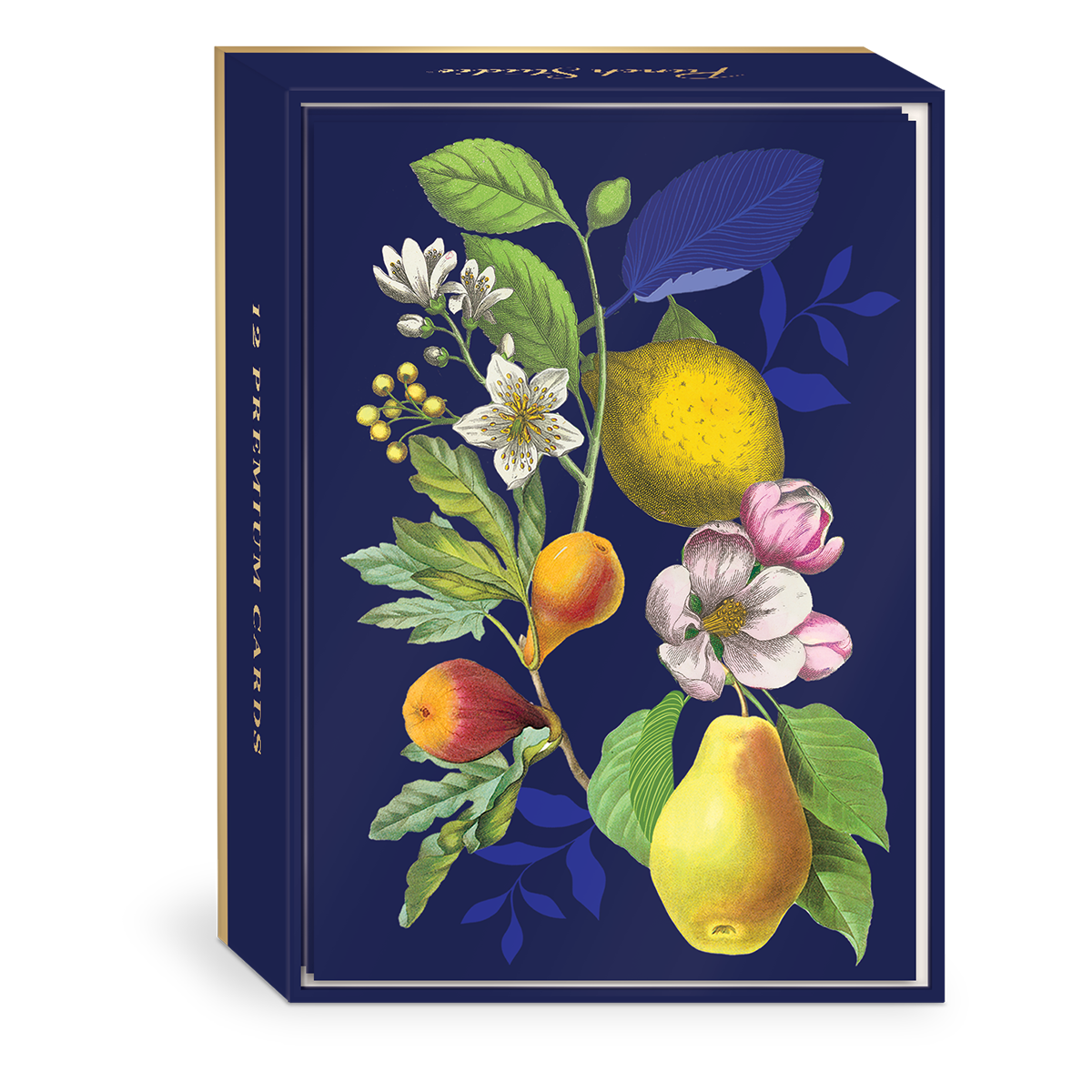 Vintage Floral Fruit Note Cards set.