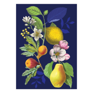 Blank Fruit Greeting Card with envelope.