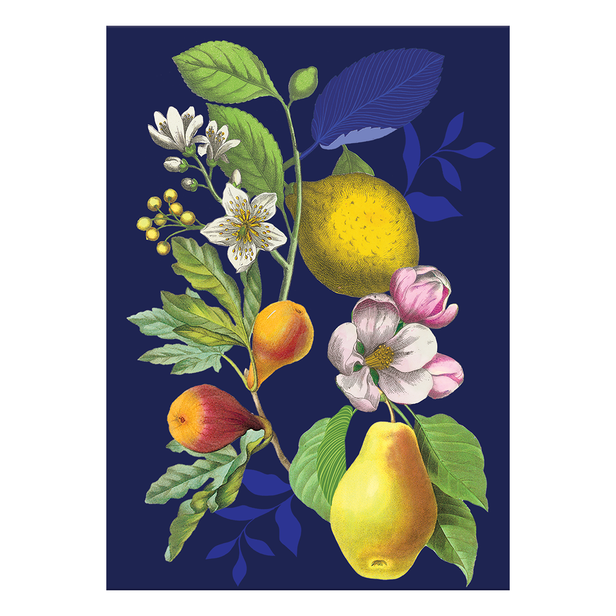 Vintage Floral Fruit Greeting Card Product