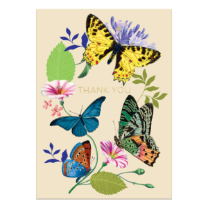 Thank You Butterflies Greeting Card with envelope.
