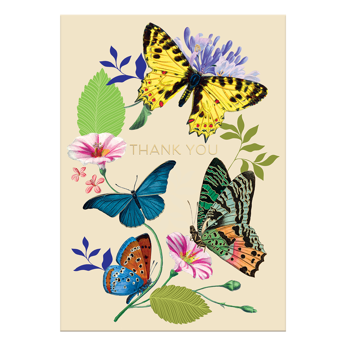 Vintage Floral Butterflies Greeting Card Product