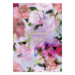 Thinking of You Blurred Roses Greeting Card with envelope.