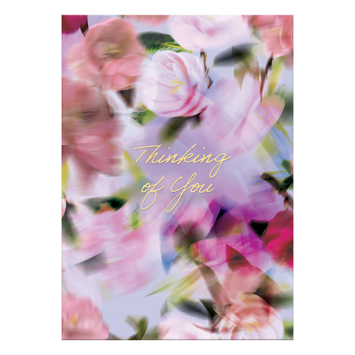 Thinking of You Blurred Roses Greeting Card with envelope.