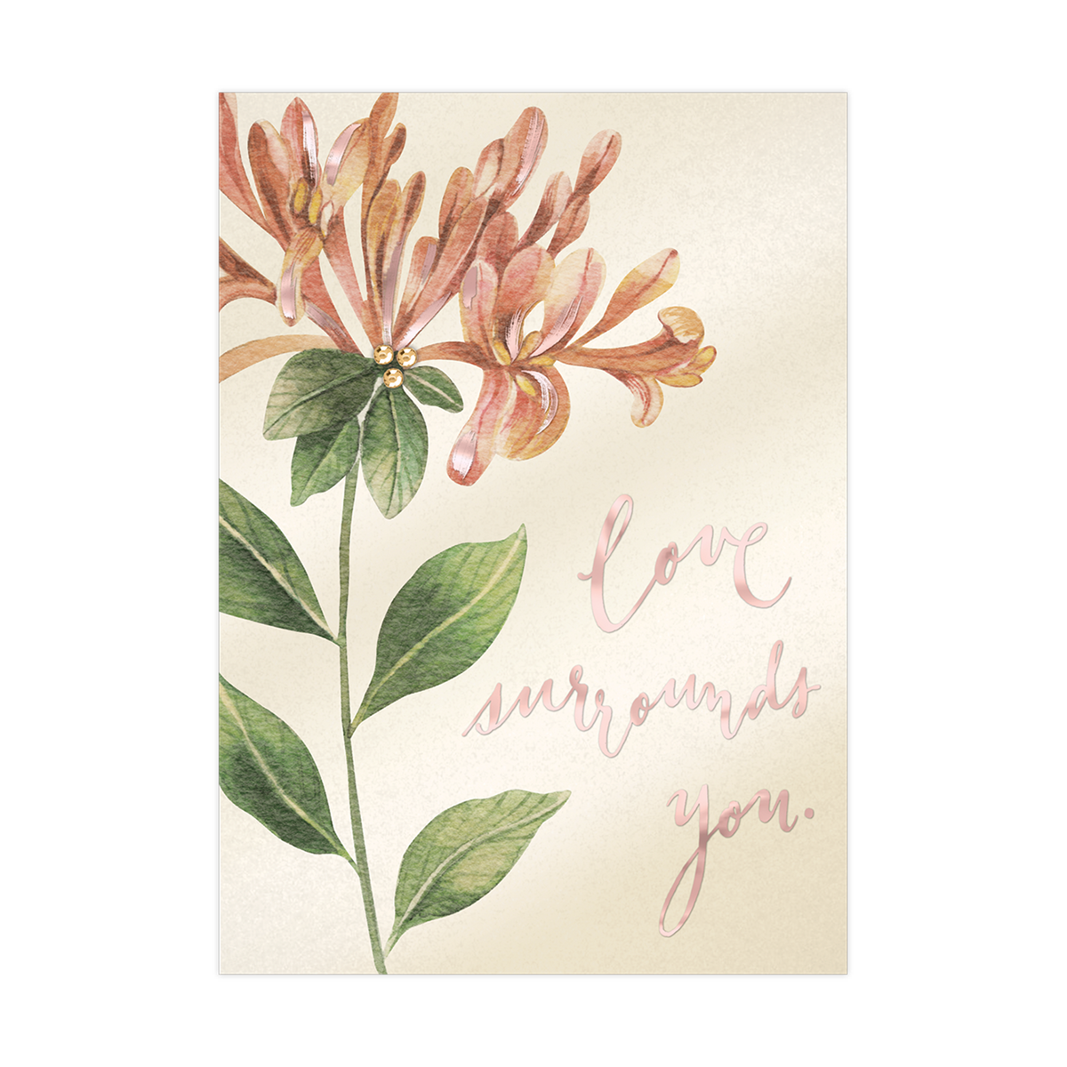 Lily Greeting Card Product