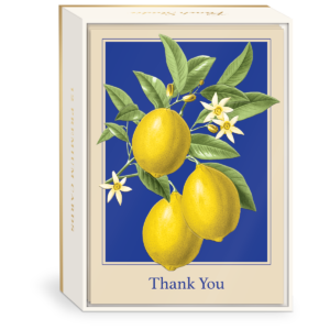 Lemons Thank you Note Cards set.
