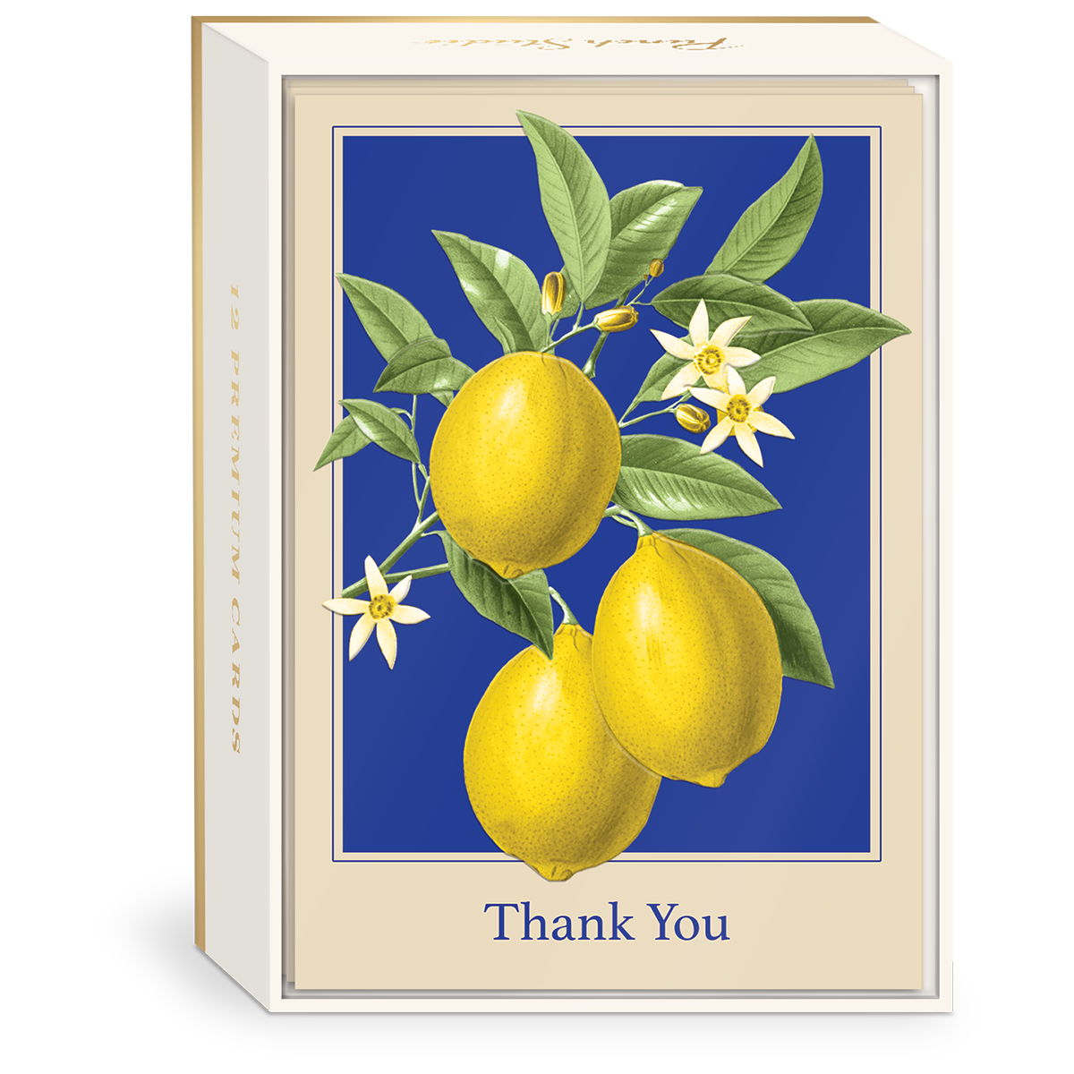 Lemons Thank you Note Cards set.