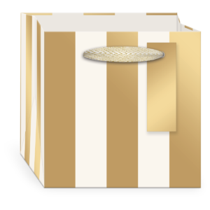 Gold Flora Stripe Cube Bag with handles.