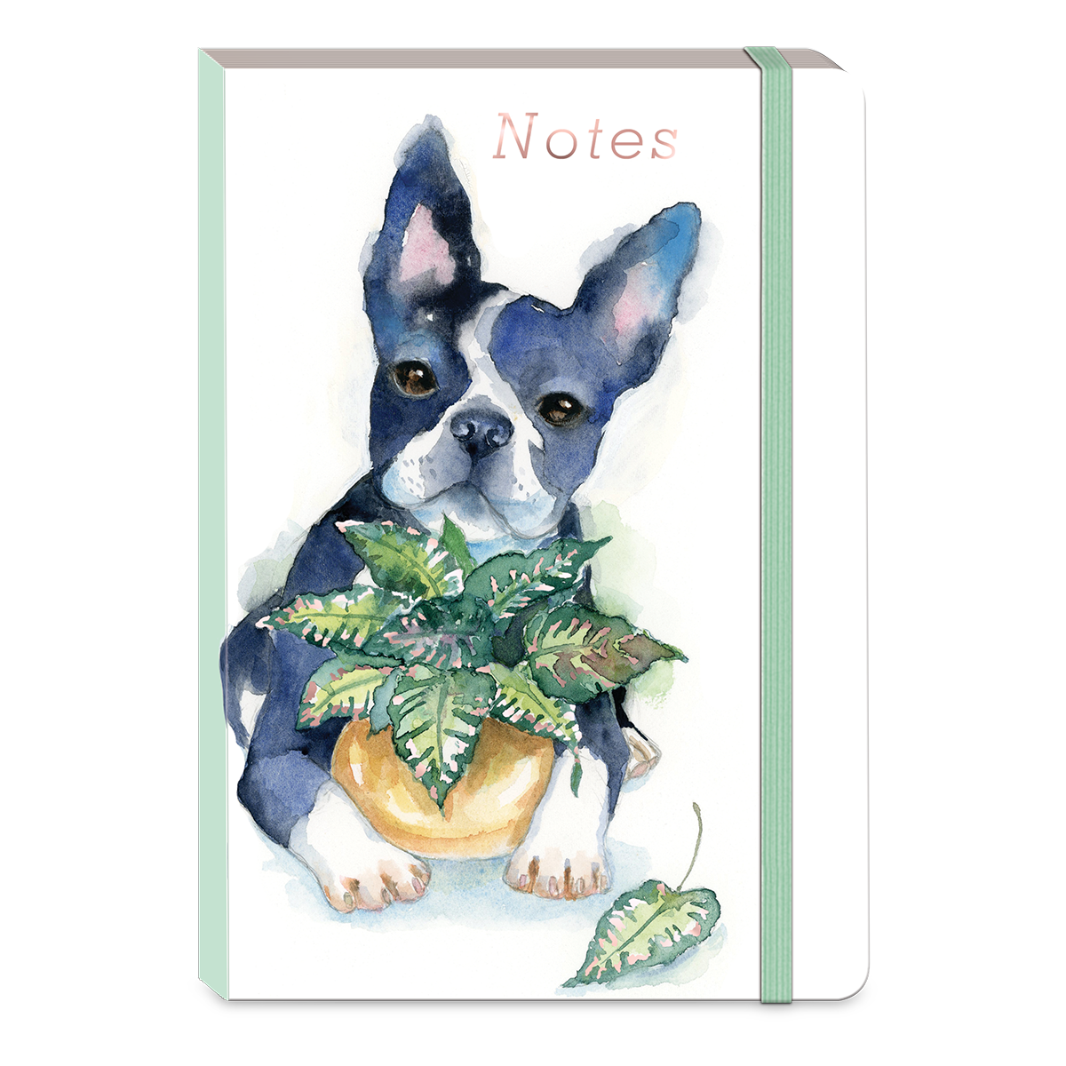 Houseplant Boston Terrier Softcover Notebook Product
