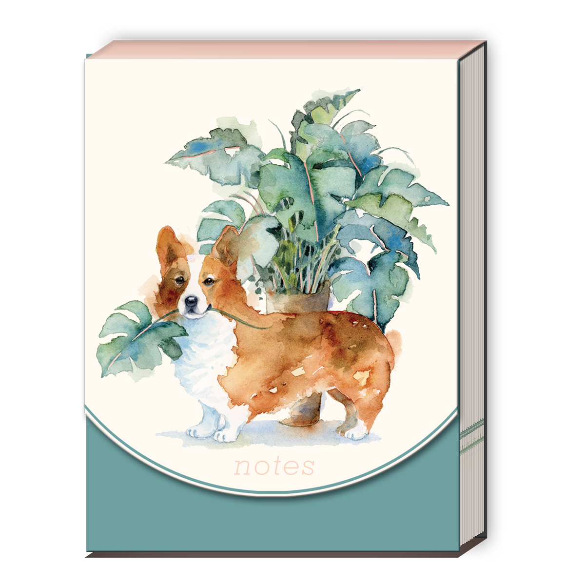 Houseplant Corgi Pocket Notepad Product