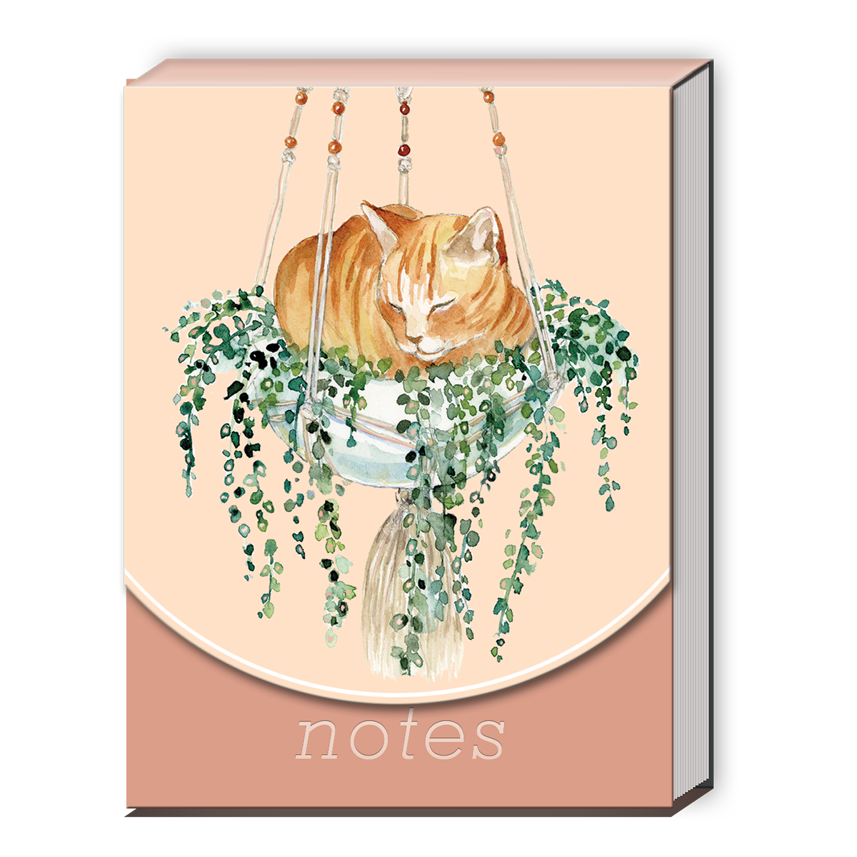 Houseplant Tabby Pocket Notepad Product