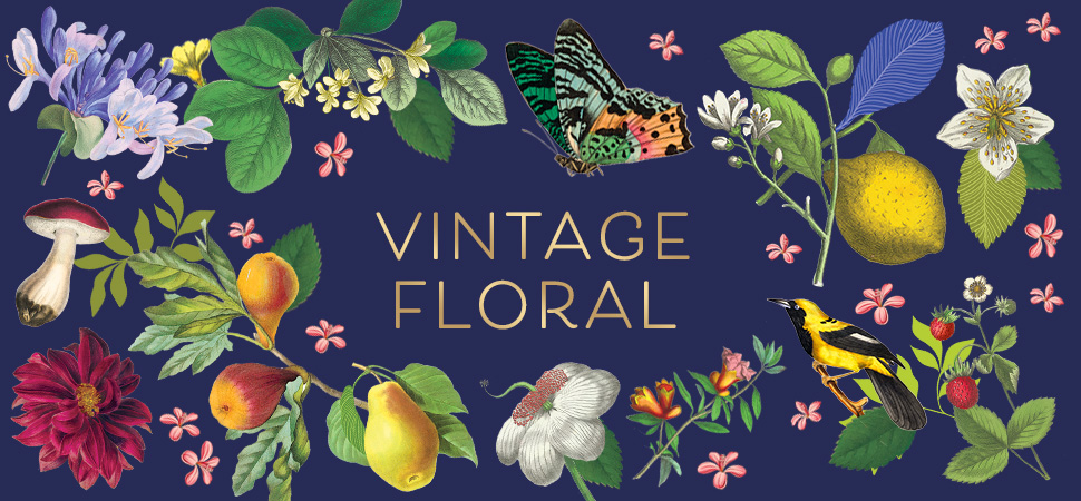colorful artwork of fruit, mushrooms, and flowers with vintage floral text highlighting collection artwork