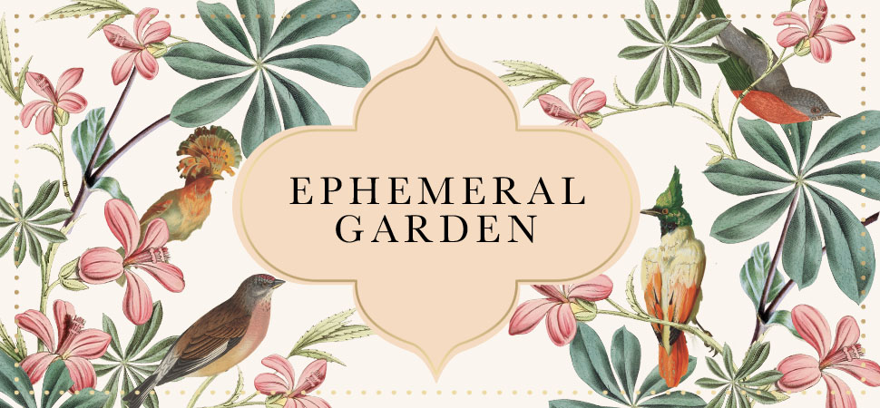 Ephemeral Garden